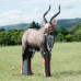 Wildcrete Nyala